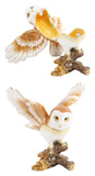 Treasured Trinkets Barn Owl With Wings Spread Trinket Box