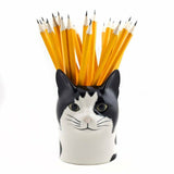 Barney The Cat Pencil Pot By Quail Ceramics