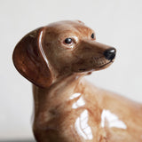 Red Dachshund Money Box By Quail Ceramics