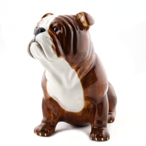 English Bulldog Money Box By Quail Ceramics
