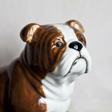 English Bulldog Money Box By Quail Ceramics
