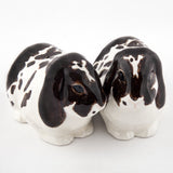 Lop Eared Rabbit Brown And White Salt And Pepper Pots By Quail Ceramics