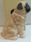 Fawn Pug Money Box By Quail Ceramics
