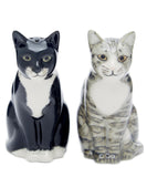 Quail Ceramics Cat Salt And Pepper Pots Sadie And Smartie