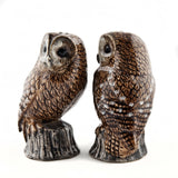 Tawny Owl Salt And Pepper Pots By Quail Ceramics