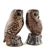 Tawny Owl Salt And Pepper Pots By Quail Ceramics