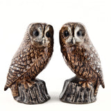 Tawny Owl Salt And Pepper Pots By Quail Ceramics