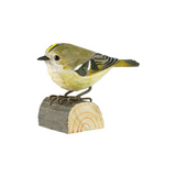 Carved Wooden Goldcrest  Decobird By Wildlife Garden